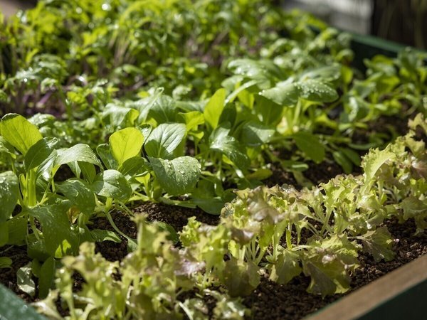 KOKO HOTEL �����w�O�i�� �z�e���E�B���O�Z���N�g�����w�O�j�F