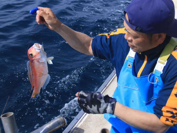 こすえ旅館 宿泊予約は じゃらんnet