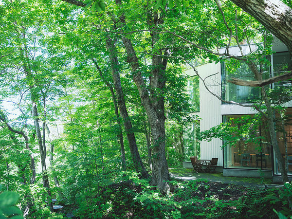 �b�n�p�̊O�ώʐ^