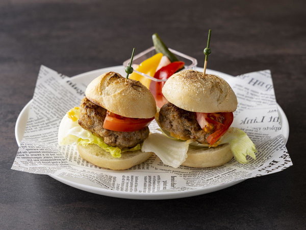 NuEWb~jno[K[ifC^Cjʐ^͈