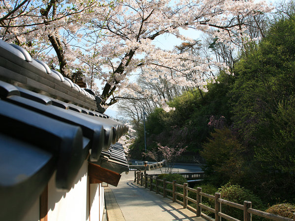 別所温泉 旅館 花屋