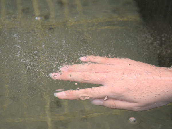 おごと温泉ことゆう スーパー銭湯あがりゃんせ 2dayスパ 宿泊予約は じゃらんnet