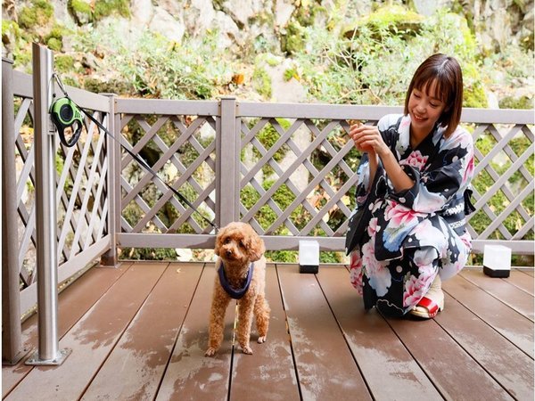 城崎温泉 お宿 白山 花まんだら【湯亭 花のれん】【花地蔵庵】 - 宿泊