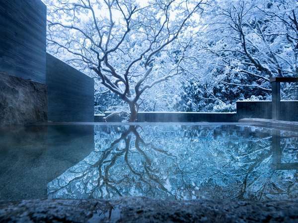 y샊][g@E ΌzΌՂޑS16̃AgG򗷊فSIVCt