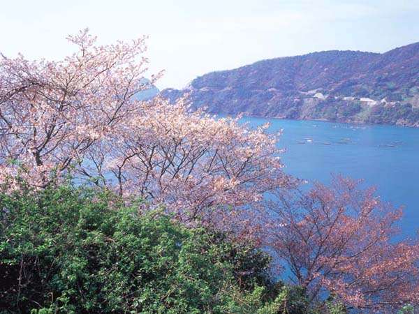 漁師の宿 民宿よしおかや 宿泊予約は じゃらんnet