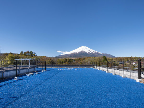 【dog park 天空】富士山の絶景と青い人工芝の屋上dog park。