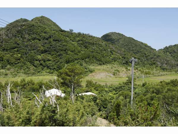 ���΂�̐X�̎{�ݎʐ^3