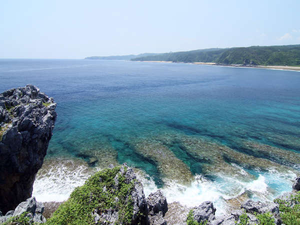 やんばるの森 - 宿泊予約は＜じゃらんnet＞