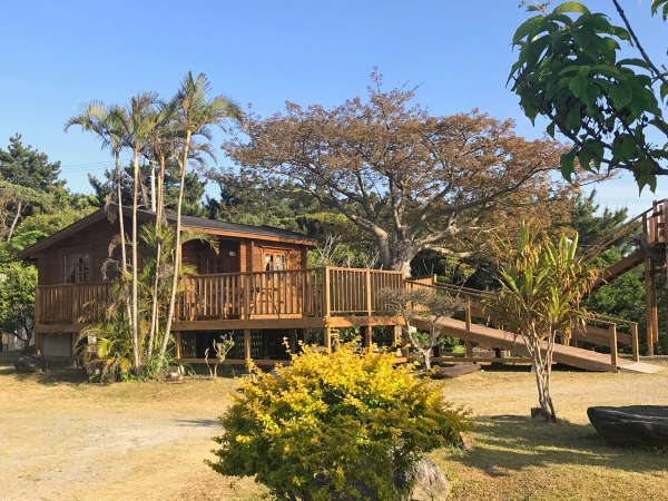 �y���V�����^�ߔe�x�����������̎{�ݎʐ^2