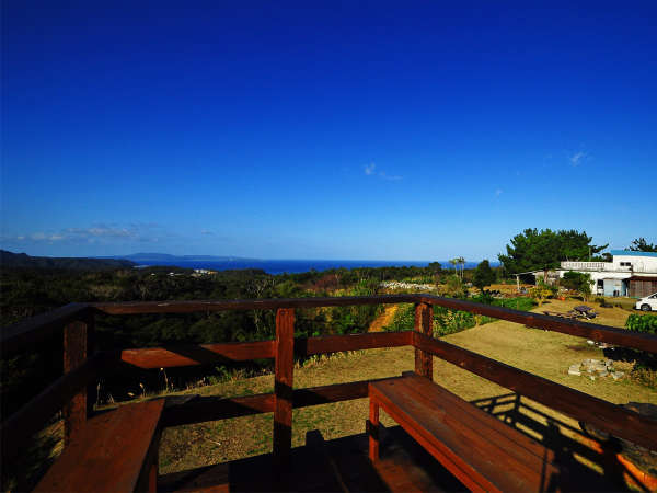 �y���V�����^�ߔe�x�����������̎{�ݎʐ^1