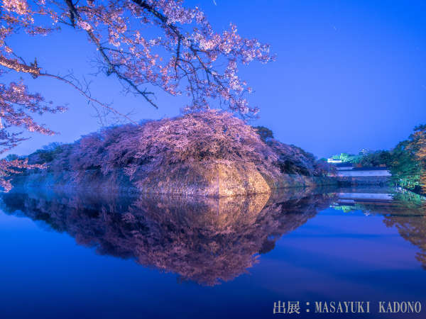 �т�ΔȖ��o�̏h�@�o�t��