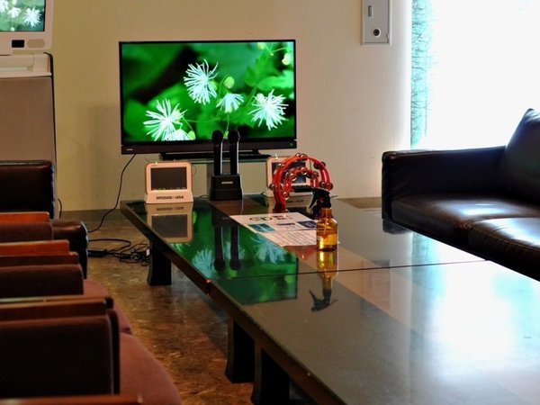 �J���I�P���[��