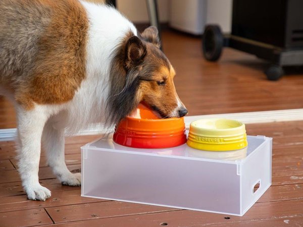 �O�����V�A�ʕ{�S�ցF�ǉ������Ȃ��I�y�b�g�h������
