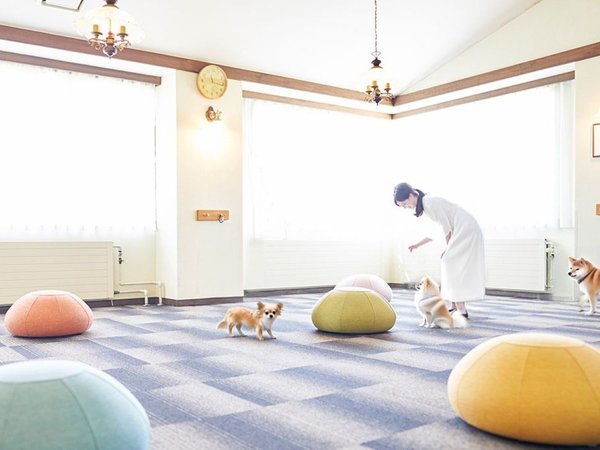 yhbOzJ̓łSق̃ƂǂVׂ܂I