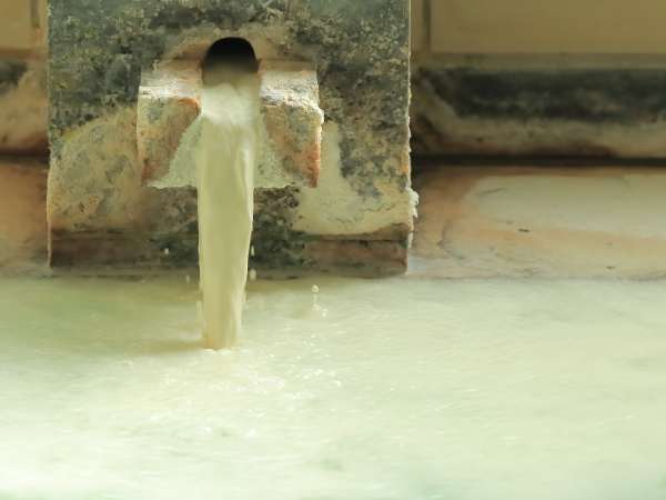 Hot Spring/����F100������|����������B�T��1�x�̓��̉ԗ����̌ゾ���������ɕω����܂�