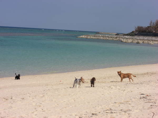 �f�������@�g���������@�l�d�q�h�̎{�ݎʐ^3