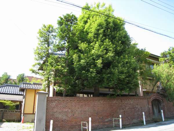 尾上の湯旅館 宿泊予約は じゃらんnet