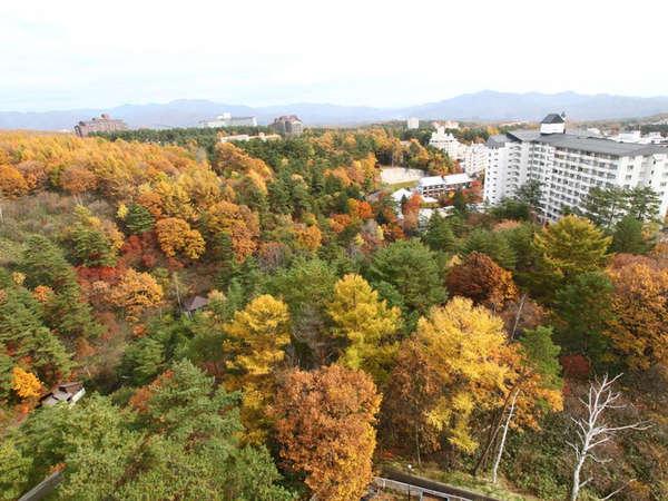 草津温泉 ホテルニュー紅葉 宿泊予約は じゃらんnet