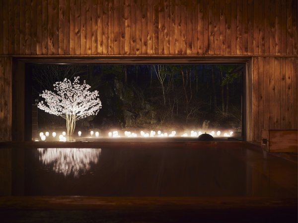 �y���� �ЂΓ��z�Â��ȓ����ނ�̒��ɁA�D�����X�q�o�̍��肪��i�ɕY���܂�