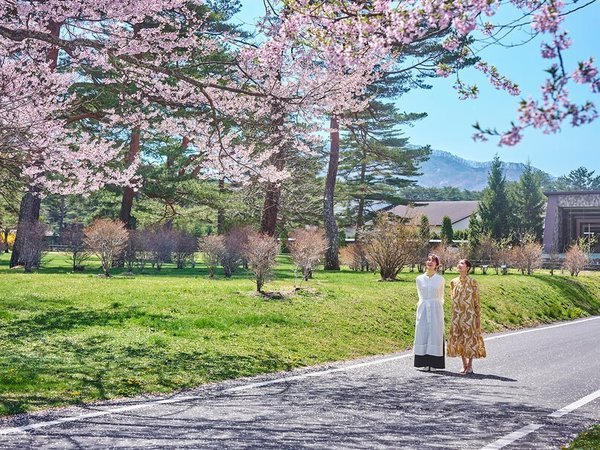 �U�E�v�����X�@���B���y���F�܊��Ŗ��키�y���̏t�@ ���R�Ɩ쒹�Ɩ��߂���