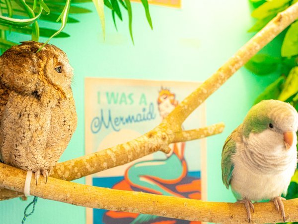 リトルマーメイドホテル石垣島 宿泊予約は じゃらんnet リトルマーメイドホテル石垣島 宿泊予約は じゃらんnet