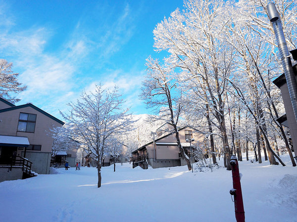 �y�~�̓��̌i�F�z�؁X�ɂ��Ⴊ�ς���A�������ʔ���̐��E���L����܂�