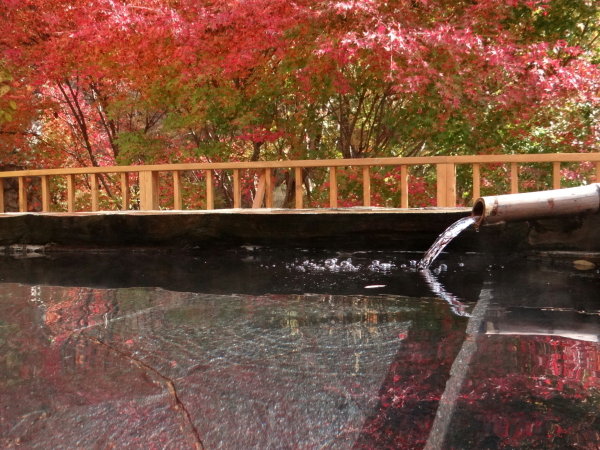 【老神温泉 もうひとつのふる里 ホテル山口屋】露天風呂からは雄大な山々が一望!単純硫化水素泉の至極の湯!