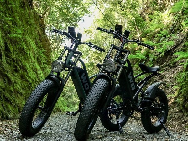 �C���˂Ȃ��A�S�n�悭�A����牷��@�z�e�����؁F�����^�T�C�N��