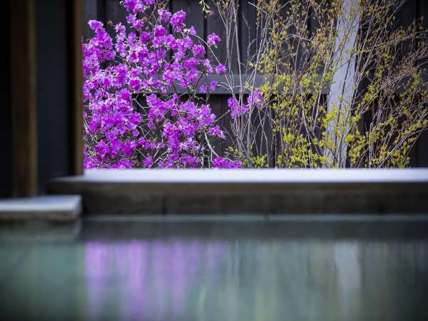 �l�G�܁X�A���Ԃ��y���߂�I�V���C���������܂��