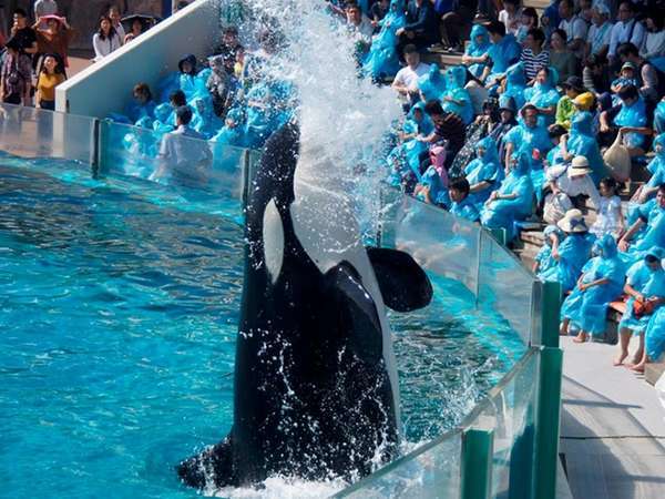 鴨川シーワールドホテル 宿泊予約は じゃらんnet