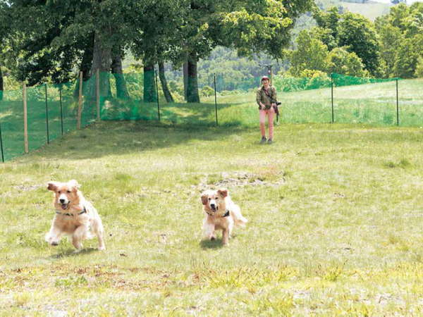 奥志賀高原ホテル 宿泊予約は じゃらんnet