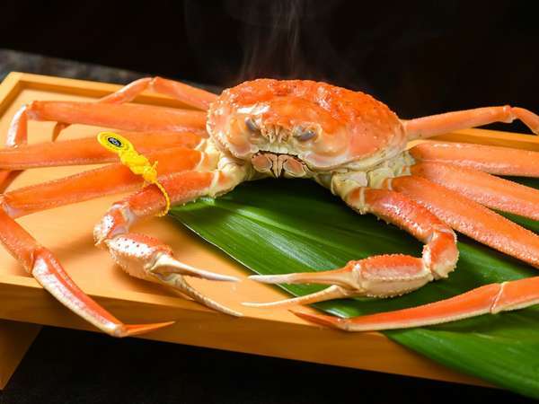 �y�������h������z���q�V�O�����򁚒n���������z�O�K�j���z�O�����Ɠ��{�C��]�̏h