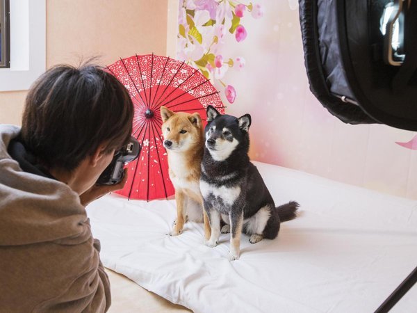 �t�H�g�X�^�W�I�B�e�C���[�W�F�v���̃J�����}���ɂ��B�e�ŁA�`�Ɏc�闷�̎v���o�Ɂ�