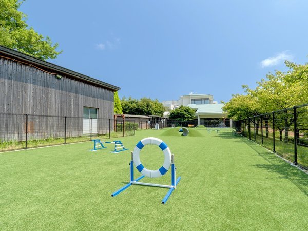 �����p���_�C�X �ɓ������Fdog park�i����t���[�j
