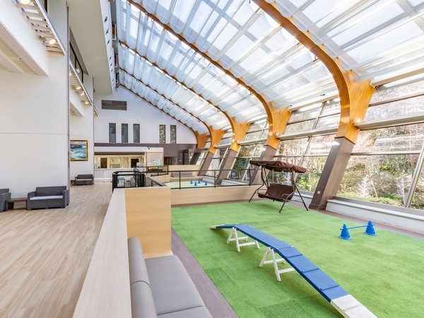 �����h�b�O�p�[�N�V�K�I�[�v���I