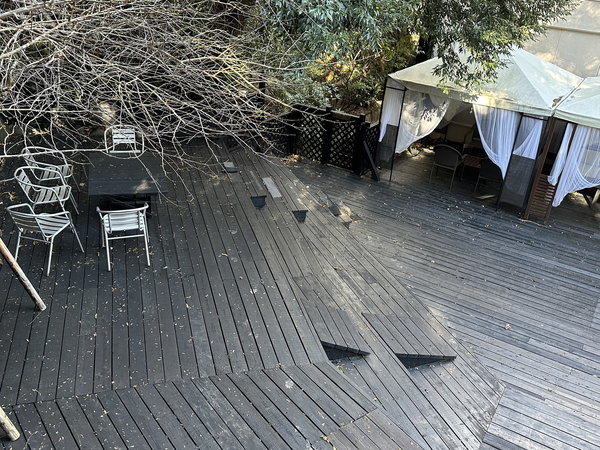 ���䂩��C��Ղ� �ݐ؉���̃y�b�g���]�[�g�@�z�e���l�G�̑��F�E�b�h�f�b�L�̃h�b�O�����i22�F30�܂Łj