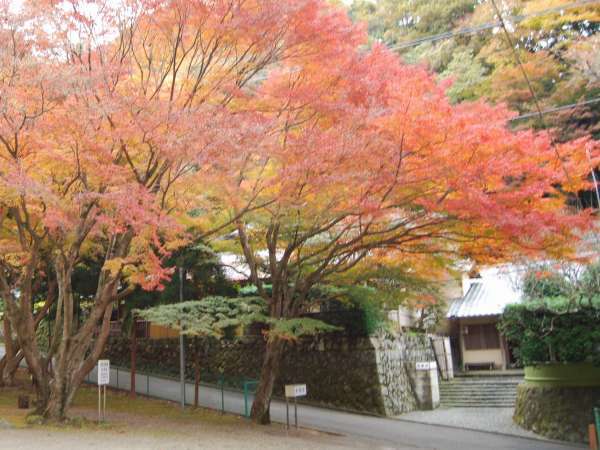 奥湯河原温泉 加満田 宿泊予約は じゃらんnet