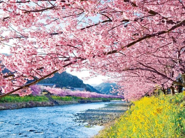 �y�ɓ�����l���}�z�e���z�͒Í��܂���܂ŎԂŖ�5���B���t���C�ӂ̃��]�[�g�ł������