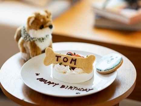 �L���v�g���V�h���� by IHG�F���������̂��a�����j��������`�����܂�