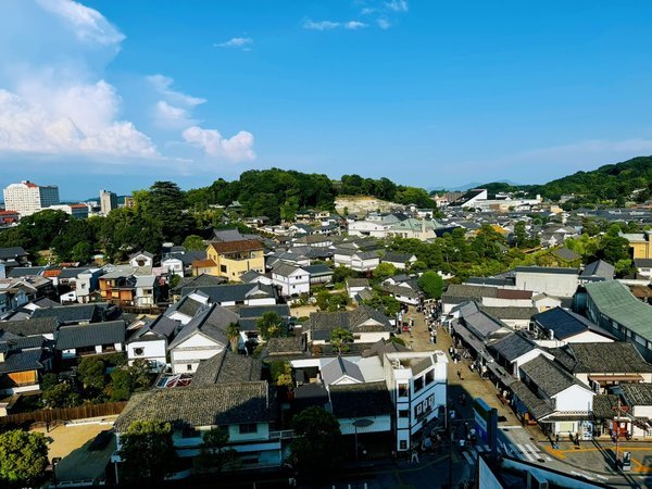 �V�R����@���q�̓��@�h�[�~�[�C���q�~�F���ꕔ�̋q������̕��i