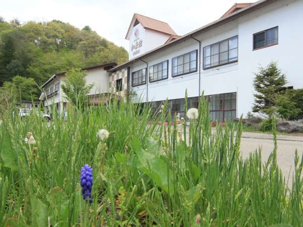 海ノ口温泉 湯元ホテル 和泉館 宿泊予約は じゃらんnet