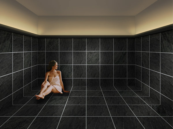 ���n���_���� RYOKAN SUI�F���ݐ؊�՗��i�\�񐧁j