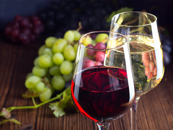 ���n���_���� RYOKAN SUI�F���ӂ�܂����C��