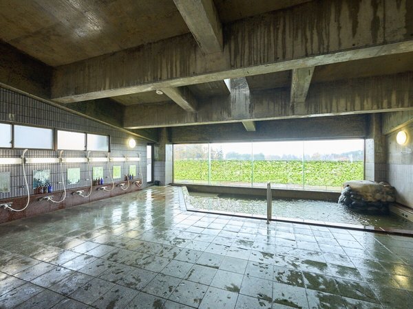 �y�嗁��@�j���z�I�V���C�A�嗁��Ƃ��ɁA���ΐF�̐�ѐΉ��򂪏�ɂ��ӂ�o�Ă��܂��B