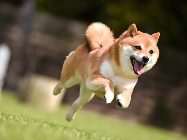 ybgƊyލL