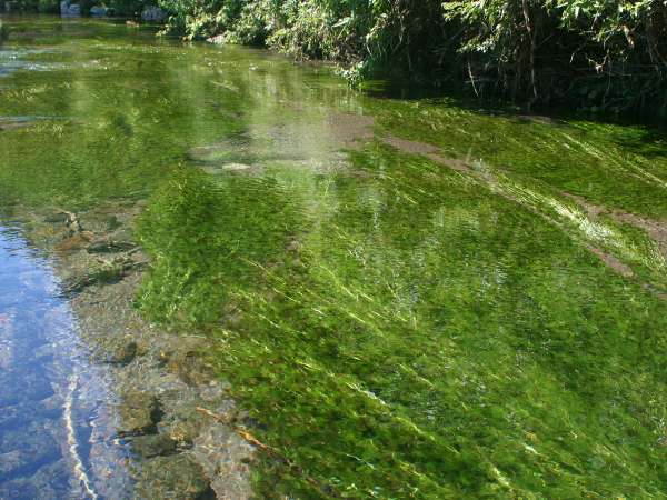 鳥海温泉 遊楽里 宿泊予約は じゃらんnet