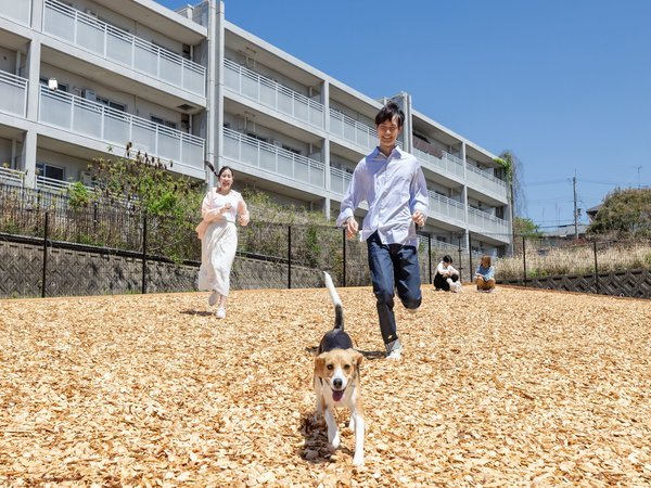 DOG PARK�őS�͎����I