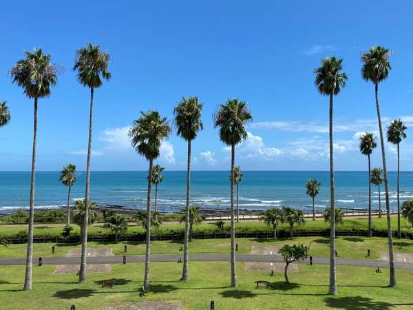 宮崎白浜オートキャンプ場 宿泊予約は じゃらんnet