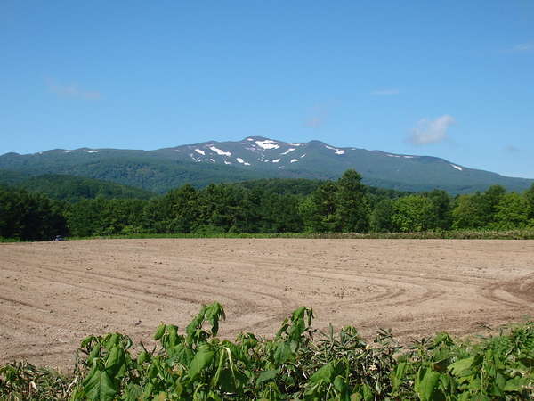 ���t�H���ϒO�z�X�e���̎{�ݎʐ^2