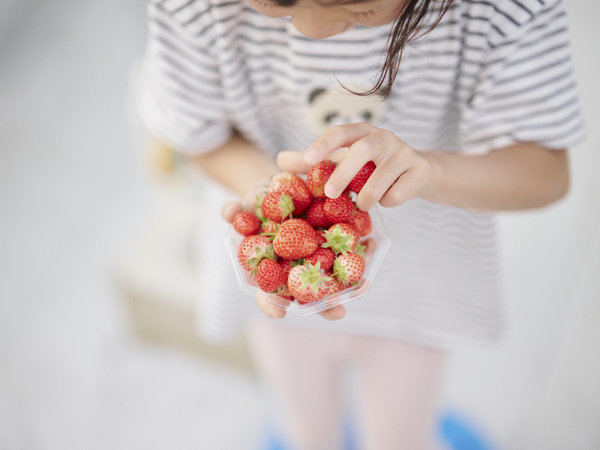 THE FARM �X���E�}�E���e�����c�F�l�G�܁X�̎��n�̌�